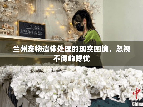 兰州宠物遗体处理的现实困境，忽视不得的隐忧