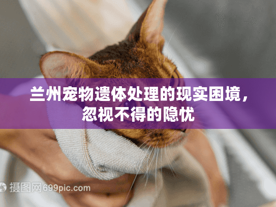兰州宠物遗体处理的现实困境，忽视不得的隐忧