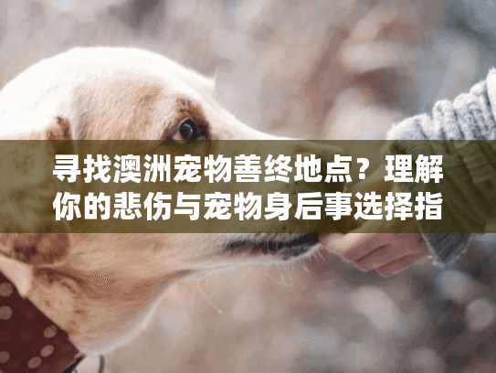 寻找澳洲宠物善终地点？理解你的悲伤与宠物身后事选择指南