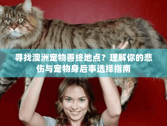 寻找澳洲宠物善终地点？理解你的悲伤与宠物身后事选择指南