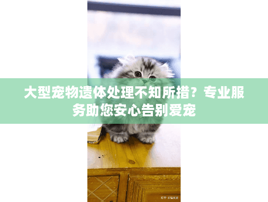 大型宠物遗体处理不知所措?专业服务助您安心告别爱宠 大型宠物遗体处理不知所措?专业服务助您安心告别爱宠