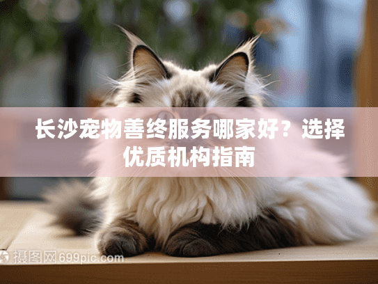长沙宠物善终服务哪家好？选择优质机构指南