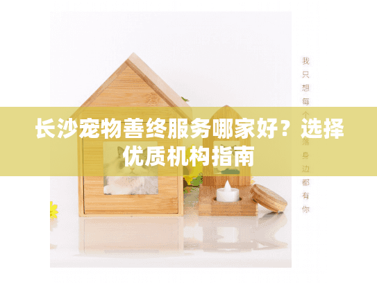 长沙宠物善终服务哪家好？选择优质机构指南