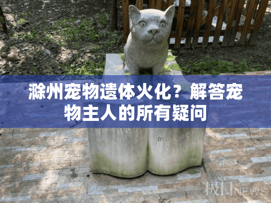 滁州宠物遗体火化？解答宠物主人的所有疑问