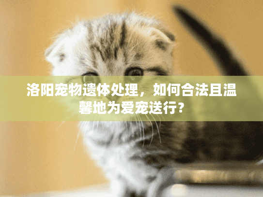 洛阳宠物遗体处理，如何合法且温馨地为爱宠送行？