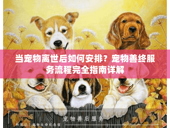当宠物离世后如何安排？宠物善终服务流程完全指南详解