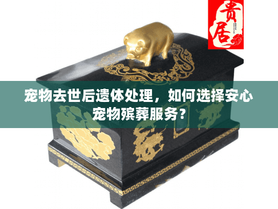宠物去世后遗体处理，如何选择安心宠物殡葬服务？
