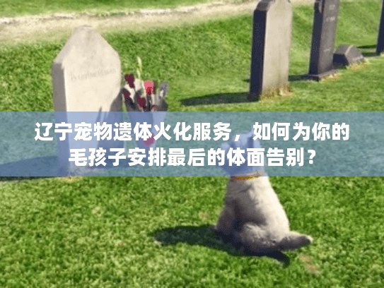 辽宁宠物遗体火化服务，如何为你的毛孩子安排最后的体面告别？