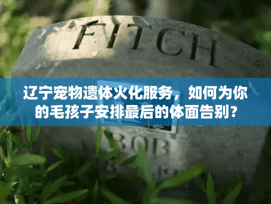 辽宁宠物遗体火化服务，如何为你的毛孩子安排最后的体面告别？