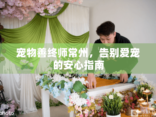 宠物善终师常州，告别爱宠的安心指南