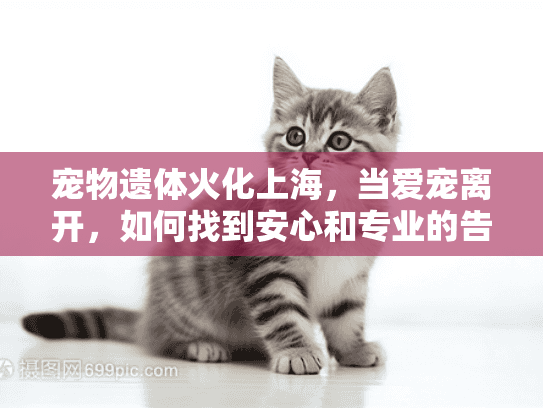 宠物遗体火化上海,当爱宠离开,如何找到安心和专业的告别服务? 宠物遗体火化上海,当爱宠离开,如何找到安心和专业的告别服务?