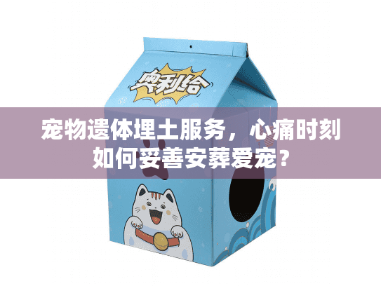 宠物遗体埋土服务，心痛时刻如何妥善安葬爱宠？