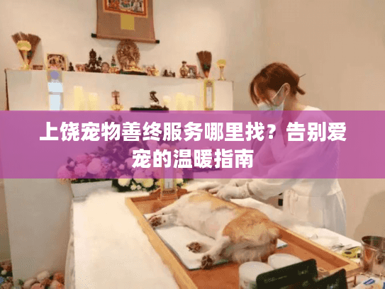 上饶宠物善终服务哪里找？告别爱宠的温暖指南