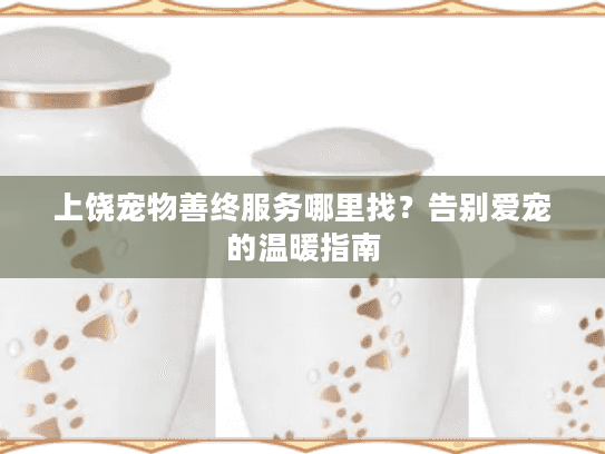 上饶宠物善终服务哪里找？告别爱宠的温暖指南