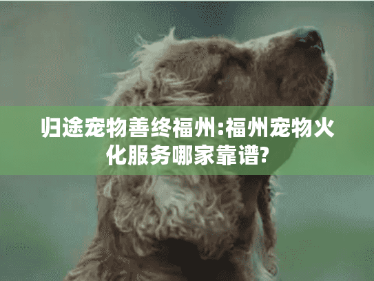归途宠物善终福州:福州宠物火化服务哪家靠谱?