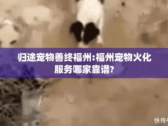 归途宠物善终福州:福州宠物火化服务哪家靠谱?