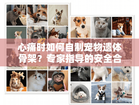 心痛时如何自制宠物遗体骨架？专家指导的安全合法方法