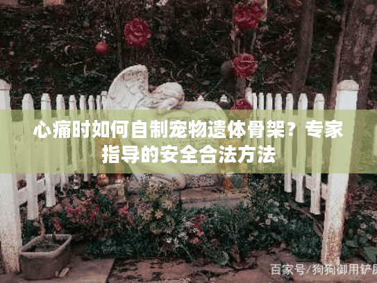 心痛时如何自制宠物遗体骨架？专家指导的安全合法方法