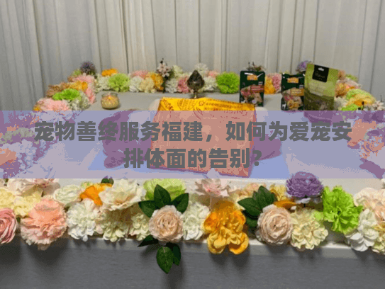 宠物善终服务福建，如何为爱宠安排体面的告别？