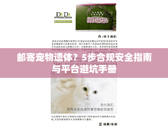 邮寄宠物遗体？5步合规安全指南与平台避坑手册
