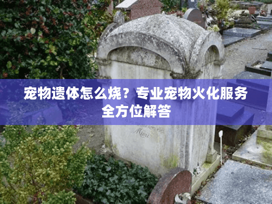 宠物遗体怎么烧？专业宠物火化服务全方位解答