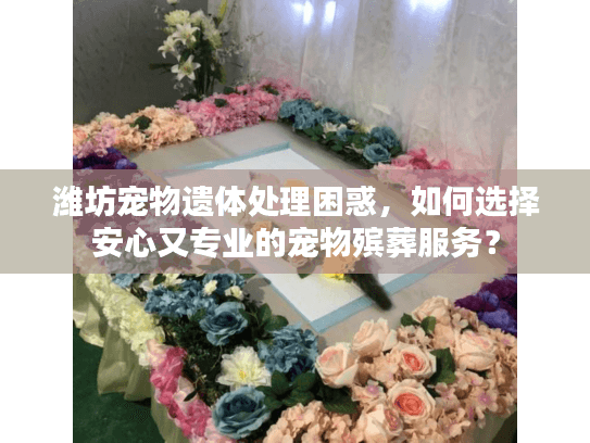 潍坊宠物遗体处理困惑，如何选择安心又专业的宠物殡葬服务？