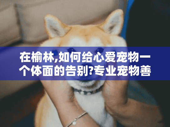在榆林,如何给心爱宠物一个体面的告别?专业宠物善终服务全攻略