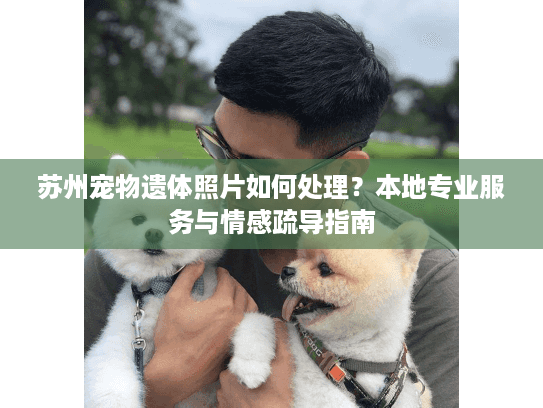 苏州宠物遗体照片如何处理？本地专业服务与情感疏导指南