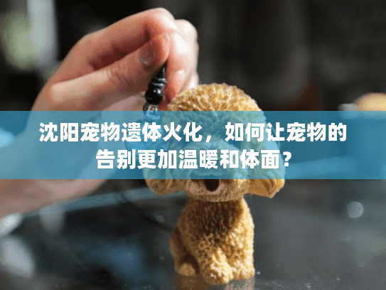 沈阳宠物遗体火化，如何让宠物的告别更加温暖和体面？