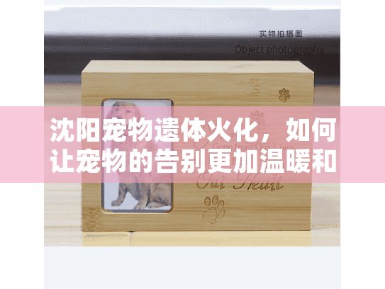 沈阳宠物遗体火化，如何让宠物的告别更加温暖和体面？