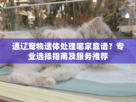 通辽宠物遗体处理哪家靠谱？专业选择指南及服务推荐