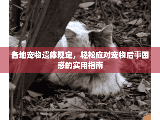 各地宠物遗体规定，轻松应对宠物后事困惑的实用指南