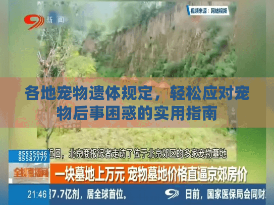 各地宠物遗体规定，轻松应对宠物后事困惑的实用指南