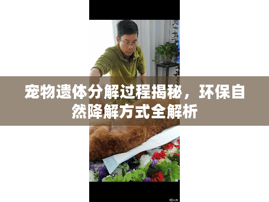 宠物遗体分解过程揭秘，环保自然降解方式全解析