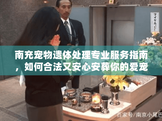 南充宠物遗体处理专业服务指南，如何合法又安心安葬你的爱宠？