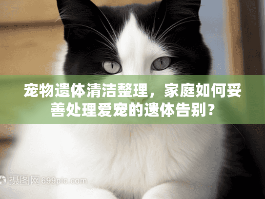 宠物遗体清洁整理，家庭如何妥善处理爱宠的遗体告别？