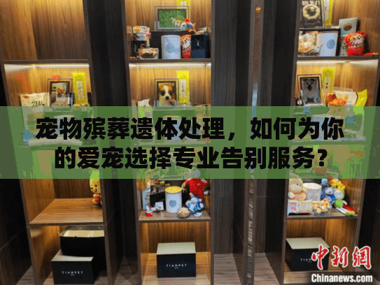 宠物殡葬遗体处理，如何为你的爱宠选择专业告别服务？