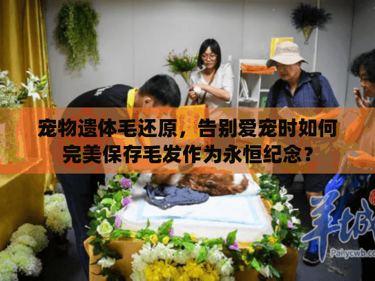 宠物遗体毛还原，告别爱宠时如何完美保存毛发作为永恒纪念？