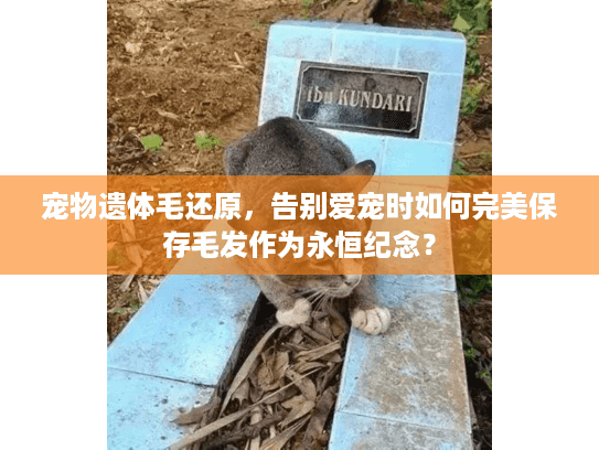 宠物遗体毛还原，告别爱宠时如何完美保存毛发作为永恒纪念？