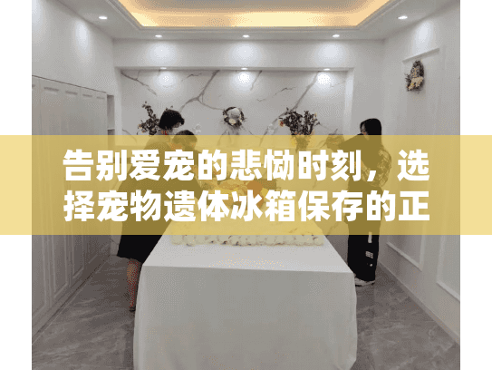 告别爱宠的悲恸时刻,选择宠物遗体冰箱保存的正确路径 告别爱宠的悲恸时刻,选择宠物遗体冰箱保存的正确路径
