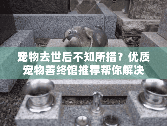 宠物去世后不知所措？优质宠物善终馆推荐帮你解决