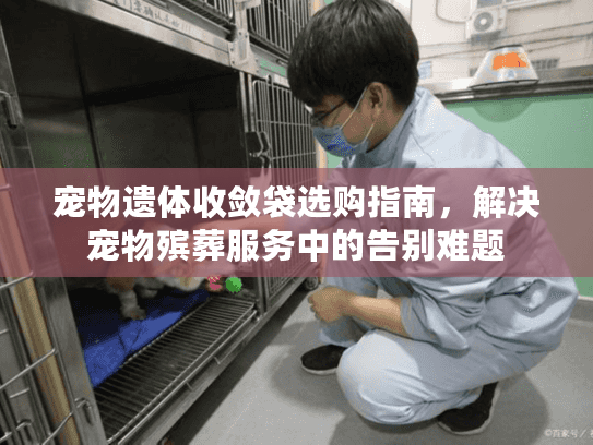 宠物遗体收敛袋选购指南，解决宠物殡葬服务中的告别难题
