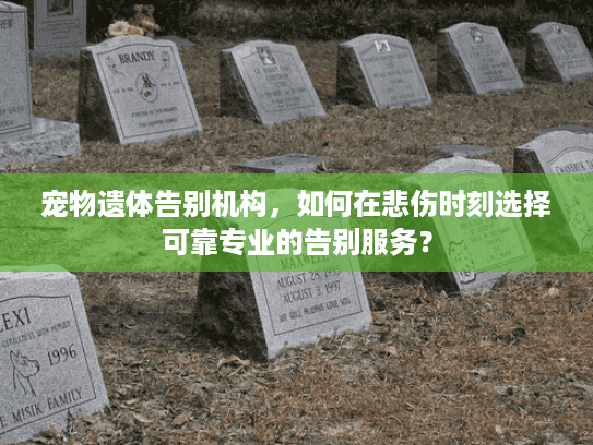 宠物遗体告别机构，如何在悲伤时刻选择可靠专业的告别服务？
