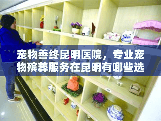 宠物善终昆明医院，专业宠物殡葬服务在昆明有哪些选择？
