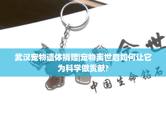 武汉宠物遗体捐赠|宠物离世后如何让它为科学做贡献?
