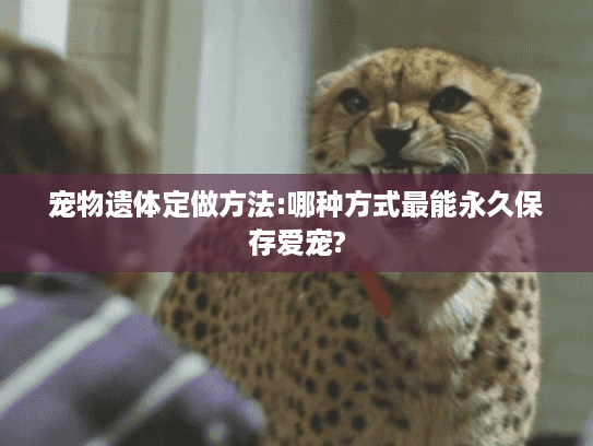 宠物遗体定做方法:哪种方式最能永久保存爱宠?