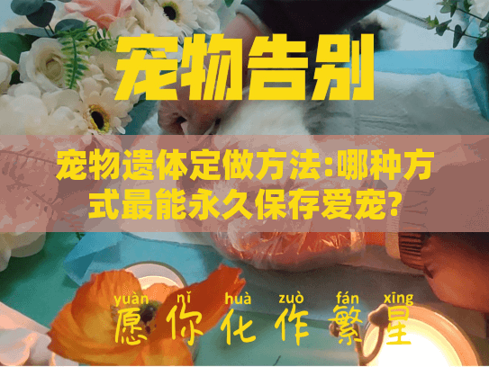 宠物遗体定做方法:哪种方式最能永久保存爱宠?