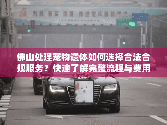 佛山处理宠物遗体如何选择合法合规服务？快速了解完整流程与费用
