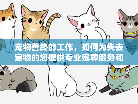 宠物善终的工作，如何为失去宠物的您提供专业殡葬服务和情感安慰？