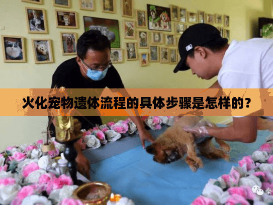 火化宠物遗体流程的具体步骤是怎样的？